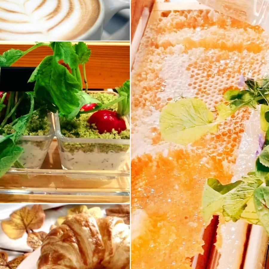 Hotel Miodowy Mlyn โอปาตูฟ ภายนอก รูปภาพ